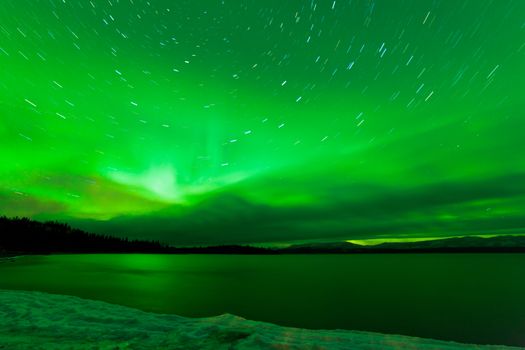 Green sparkling show of Aurora borealis or Northern Lights on starry night sky winter scene of Lake Laberge, Yukon Territory, Canada