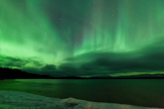 Green sparkling show of Aurora borealis or Northern Lights on cloudy night sky winter scene of Lake Laberge, Yukon Territory, Canada