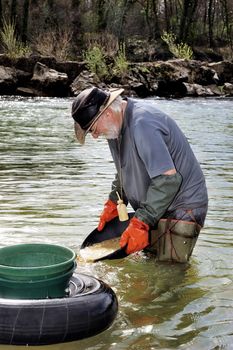 Gold digger in France in the region of Cevennes and the department of Gard in the middle of the river called Le Gardon.