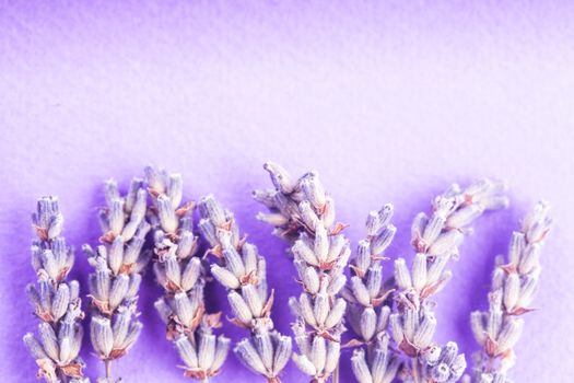 Dry lavender bunch and seeds close up