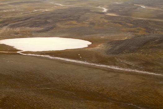 Polar bear in  bird's eye panorama. Northern island of Novaya Zemlya