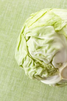 Green cabbage isolated on green background. Culinary healthy vegetable background. 