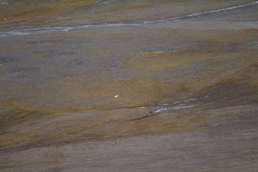 Polar bear in  bird's eye panorama. Northern island of Novaya Zemlya