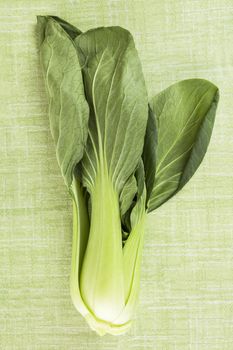 Fresh chinese baby cabbage isolated on green background. Fresh healthy organic vegetable eating. 