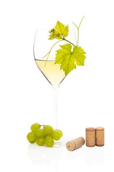 White wine in wine glass with vine leaves, green grapes and wine corks isolated on white background. Luxurious culinary wine still life.
