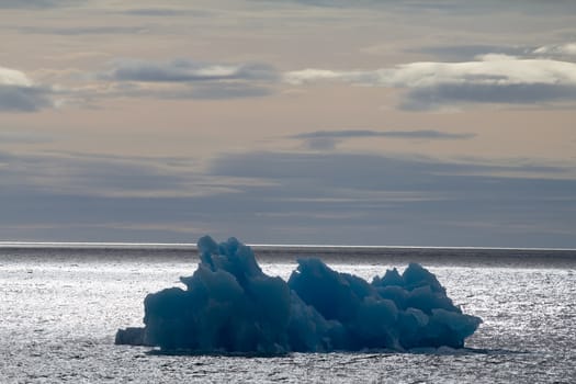 Arctic iceberg. area Novaya Zemlya