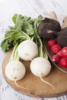 White, red and black radish on wooden kitchen board on white wooden background. Agriculture background, rustic styles.