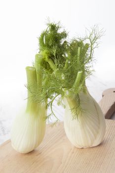 Delicious fennel background. Fresh fennel on wooden kitchen board on white wooden background. Healthy eating.