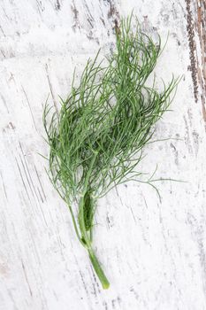 Culinary fresh dill on white wooden background, top view. Culinary aromatic kitchen herbs.