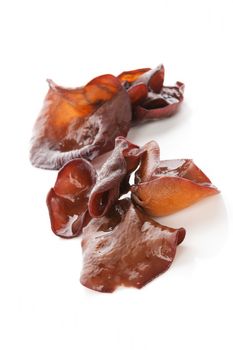 Delicious jew's ear mushroom isolated on white background. Culinary asian food ingredient. Gourmet eating.