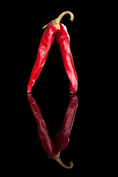 Two red chili pepper isolated on black background. Culinary hot cooking ingredient.