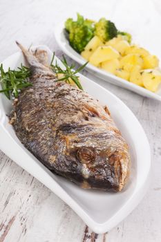 Grilled fish on plate, steamed vegetable in background. Culinary mediterranean seafood eating concept. 