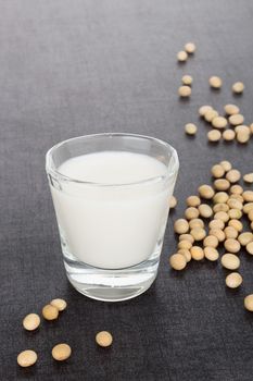 Soy milk with soybeans isolated on dark black and grey luxurious background. Vegetarian and vegan eating concept.