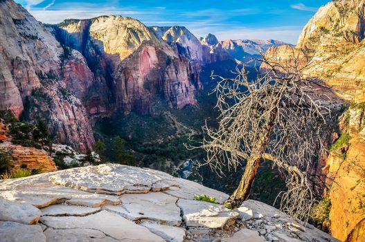 Scenic view of mountain valley from Angels Landing, Zion, Utah, USA