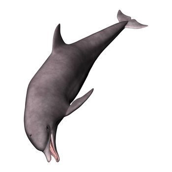 3D digital render of a jumping dolphin isolated on white background
