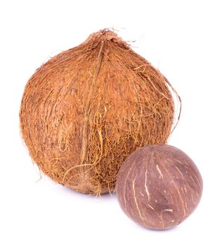 Two Ripe Coconuts isolated on White background