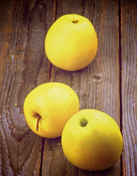 Three Ripe Apples Golden Delicious isolated on Rustic Wooden background