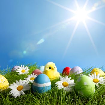 Easter Greeting Card with decorated Easter eggs in the grass and flowers