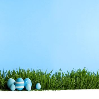 Painted Easter eggs hidden in the grass, isolated on white with copy space