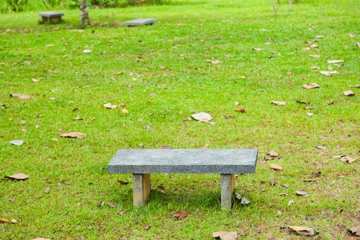 One bench. On the lawn in the park. And the leaves on the lawn.