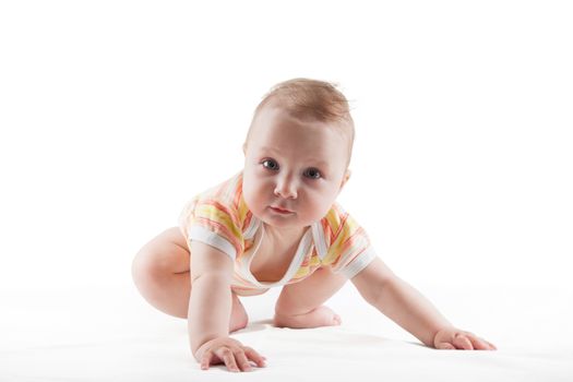 Close-up shot of a cute baby girl crawling isolated on white background. Beautiful baby, family concept.
