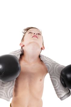 Young champion. Charming boy with boxing gloves and towel looking up isolated on white background.