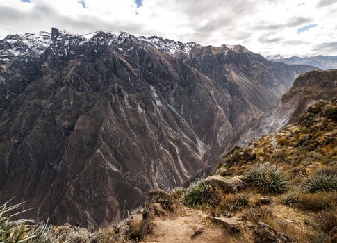 Colca Canyon view from hiking path in Chivay, near Arequipa, Peru