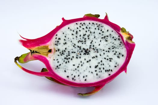 Dragon fruit or Pitahaya red Hylocereus polyrhizus