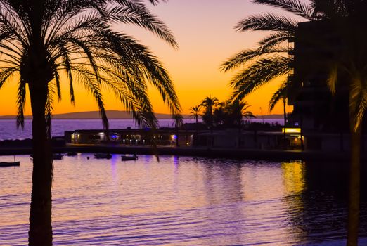 Sunset palms. Sunset in saturated yellow evening sky and purple with silhouette palm trees at Cala Estancia, Mallorca, Balearic islands, Spain.