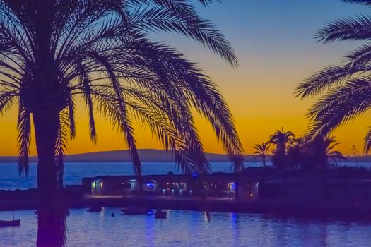 Colorful Sunset Palms in Cala Estancia with a view to the jetty with restaurants and Palma Bay.