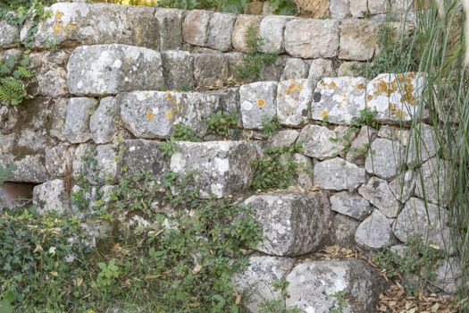 Old Stone Wall with yellow Elegant Sunburst Lichen (Xanthoria elegans).