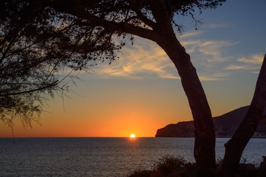 Tree framing sunset in Sant Elm. Silhouette of a tree framing the sun as it sinks below the horizon in early November. Sant Elm, Mallorca, Balearic islands, Spain.