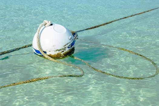 rusty buoy in port water with ropes