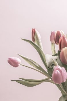 Group of vintage tulips in soft pink color. Vertical image with copy space.