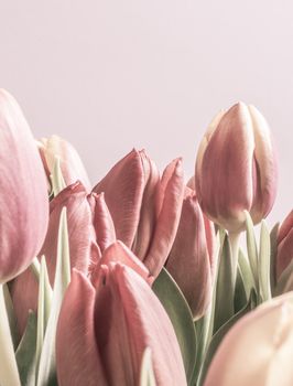 Vintage tulips in soft pink color. Vertical image with copy space.2