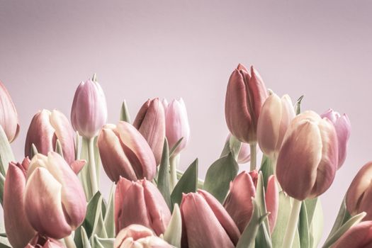 Vintage tulips in pale pink colors. Horizontal image.