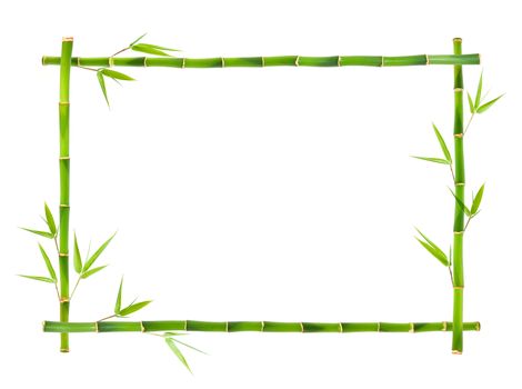 Bamboo frame isolated on white