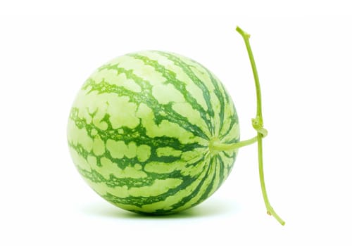 Whole watermelon isolated(Clipping path)