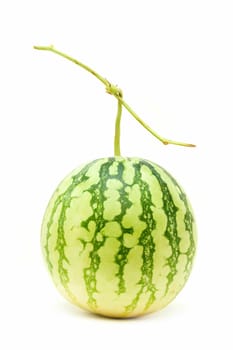 Whole watermelon isolated(Clipping path)