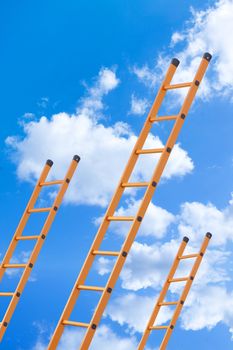 Ladder to success