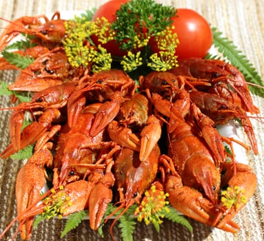 This is a freshly cooked crayfish with dill 