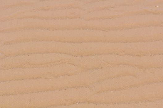 The beach sand background and the texture