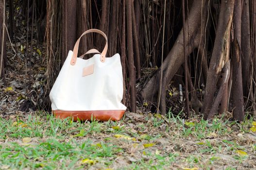 Fashion Canvas Bags with Banyan Tree Background