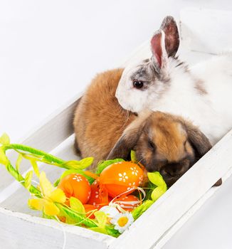 Two Easter bunny and basket with eggs
