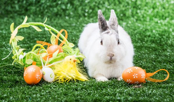 white rabbit on a green lawn with a basket of Easter eggs