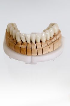 Zirconium Porcelain Tooth plate in Dentist Store