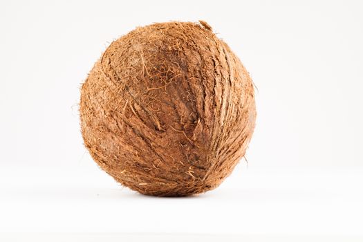 fresh brown coconut closeup on white background