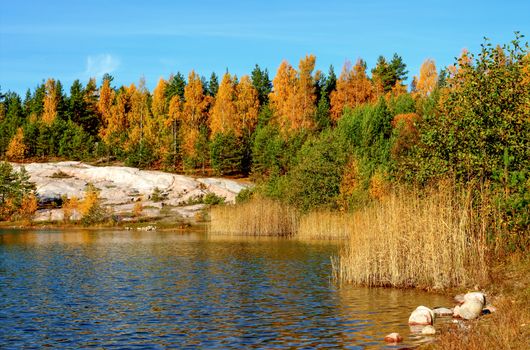 Forest lake landscape with beautiful autumn colors and reflections