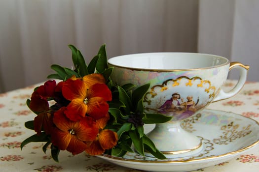 cup of tea  with flowers a dog-violet