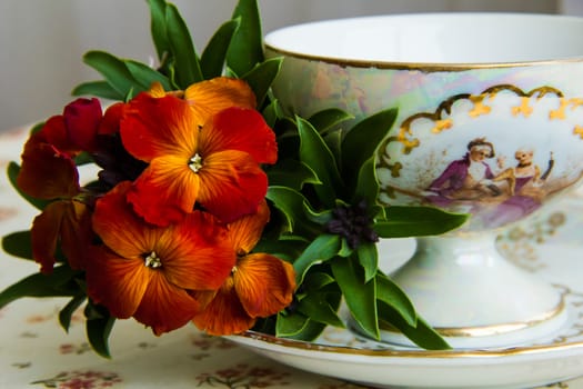 cup of tea  with flowers a dog-violet